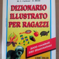 Dizionario illustrato per ragazzi -Carbone e Meldi