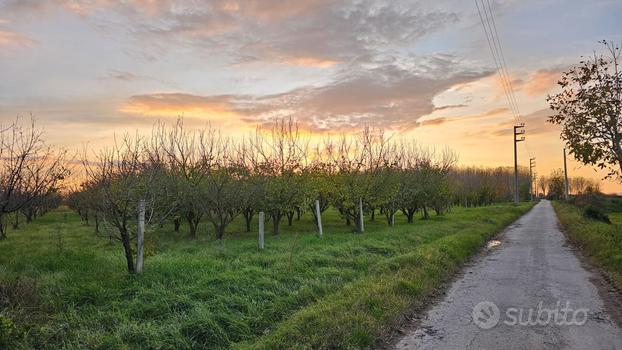 Terreno agricolo in Capua