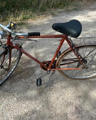 Bicicletta uomo