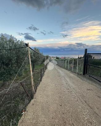 TER. AGRICOLO A TREBISACCE