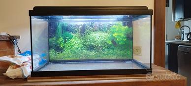 Acquario 60 litri
