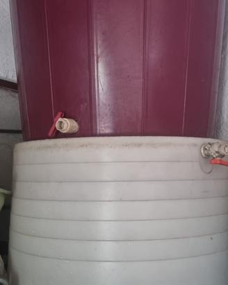 Tino, tinozza per uva