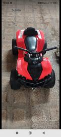 quad elettrico