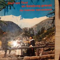 Vinile 33 Dort wo Tirol an Salzburg grenzt