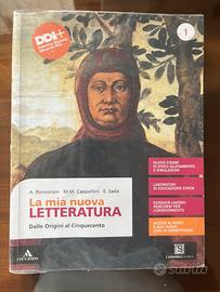 Libro di letteratura