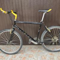 Bicicletta mountain bike