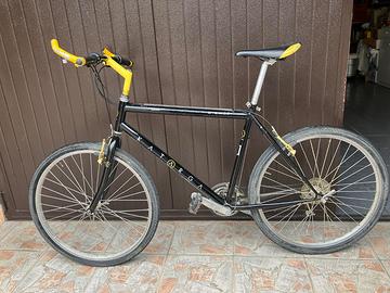 Bicicletta mountain bike