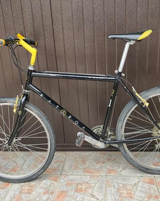 Bicicletta mountain bike