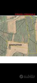 Terreno bosco seminativo