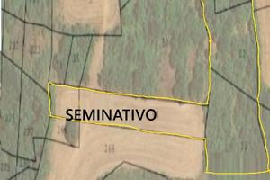Terreno bosco seminativo