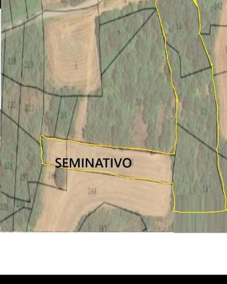 Terreno bosco seminativo