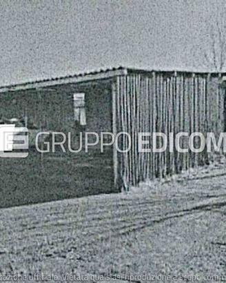 Terreno, San Cipriano Po.
