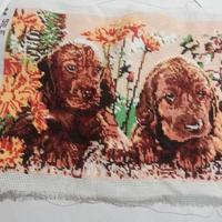 Quadri a mezzo punto