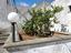 Immagine 29
