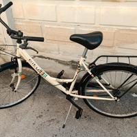 Bici olanda City Bike da donna