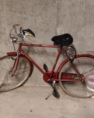 Bicicletta uomo 