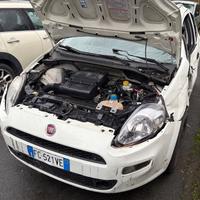 Fiat Punto 1.2 8V 5 porte km 90.000 - 2016 euro6