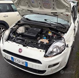 Fiat Punto 1.2 8V 5 porte km 90.000 - 2016 euro6