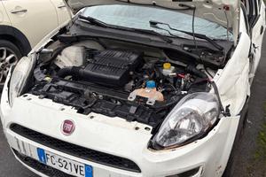 Fiat Punto 1.2 8V 5 porte km 90.000 - 2016 euro6