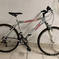 Mtb bicicletta welter