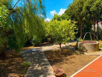 Ampio appartamento con giardino