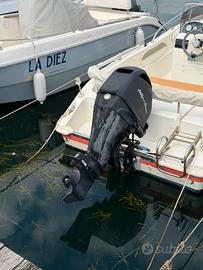 MERCURY 40 CV EFI 4 TEMPI – SOLO 400 ORE