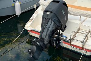 MERCURY 40 CV EFI 4 TEMPI – SOLO 400 ORE