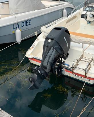 MERCURY 40 CV EFI 4 TEMPI – SOLO 400 ORE
