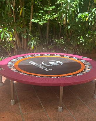Trampolino elastico  Jill Cooper top gamma