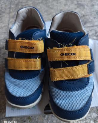 scarpe bimbo Geox n. 25