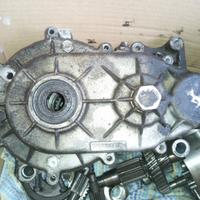 Cambio Riduttore Bellier danneggiato