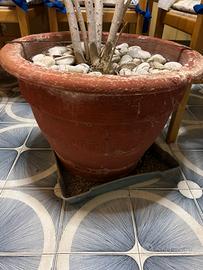 Vasso terracotta