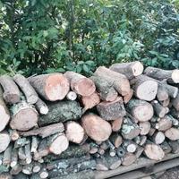 Legna di quercia e leccio da ardere