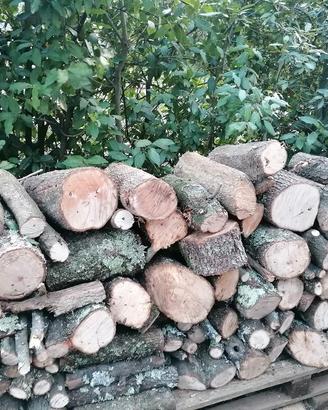 Legna di quercia e leccio da ardere