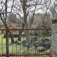 Terreno agricolo 6.000 mq - Santu Lussurgiu