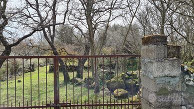 Terreno agricolo 6.000 mq - Santu Lussurgiu