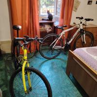 Mtb Atala Flyer