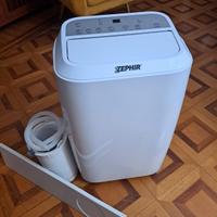 condizionatore  pinguino 