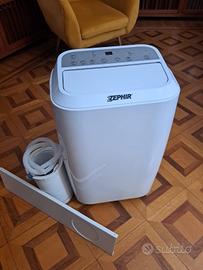 condizionatore  pinguino 