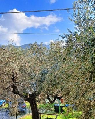 Casa indipendente di 154 m² con 4 locali e box aut