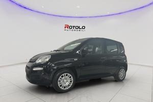 FIAT Panda 3ª serie Panda 1.0 FireFly S&S Hybr...