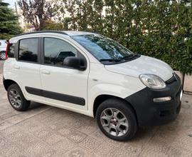 Fiat Panda 1.3 Mjet 4X4 Van 2 posti Perfetta