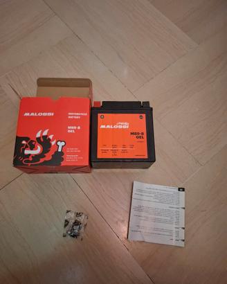 batteria malossi 12 V 