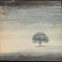 Genesis - Vinile