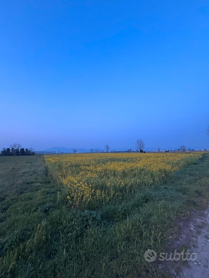 Terreno agricolo situato a Marcianise - Vista 3
