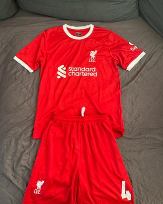 Completino del Liverpool di Virgil van Dijk