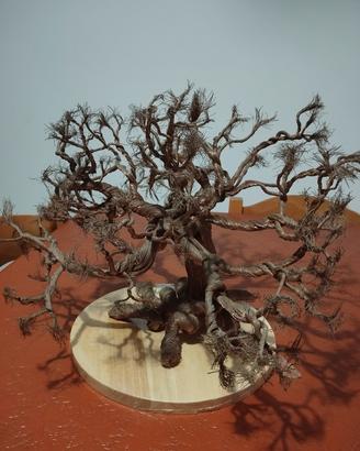 Albero da arredo