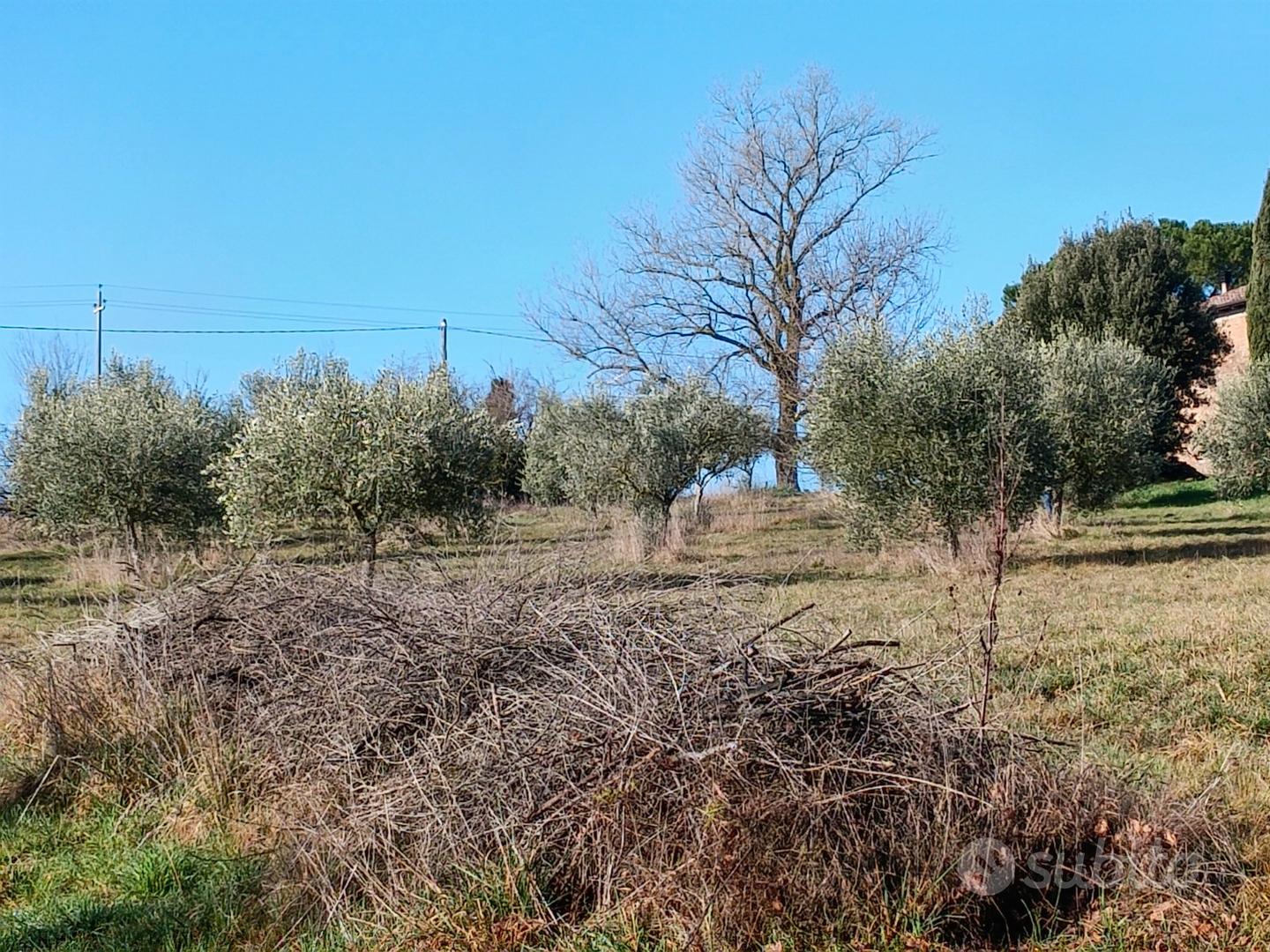 Rustico da ricostruire - Altro