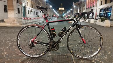 FOCUS CAYO misura M 54