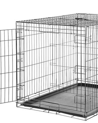 Kennel cane gatto